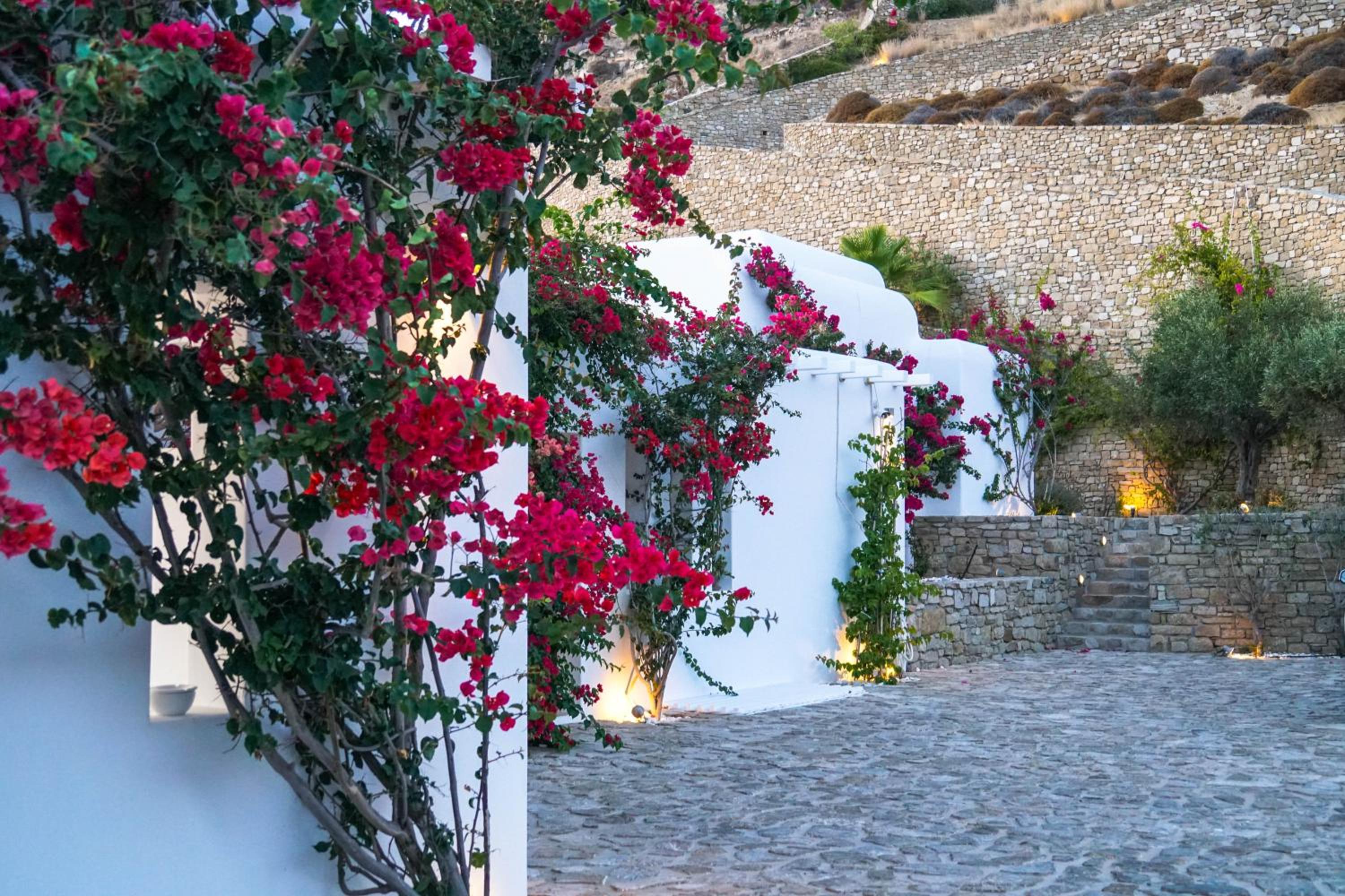 Sotavento Villa