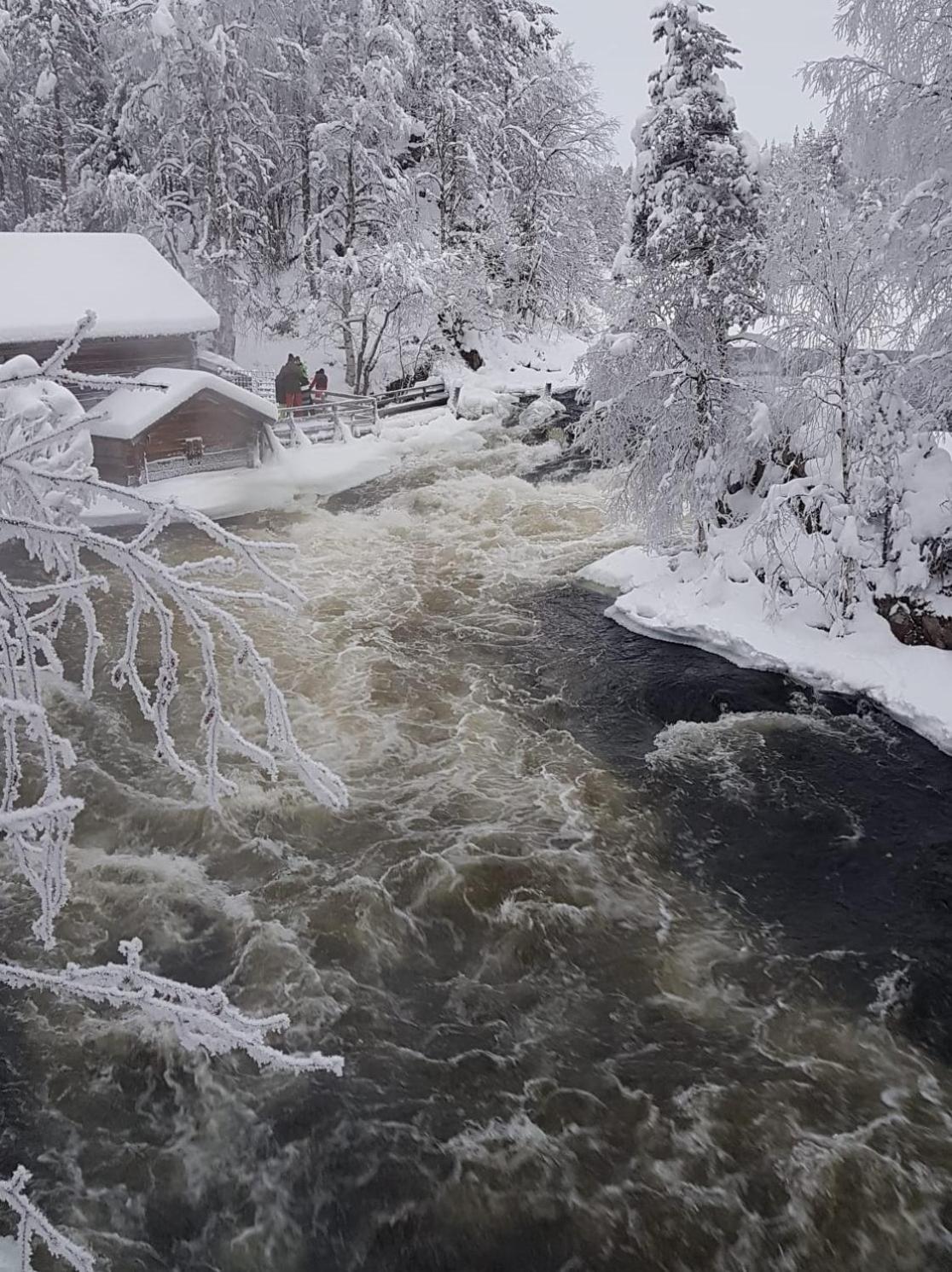 Pyydystie Apartment