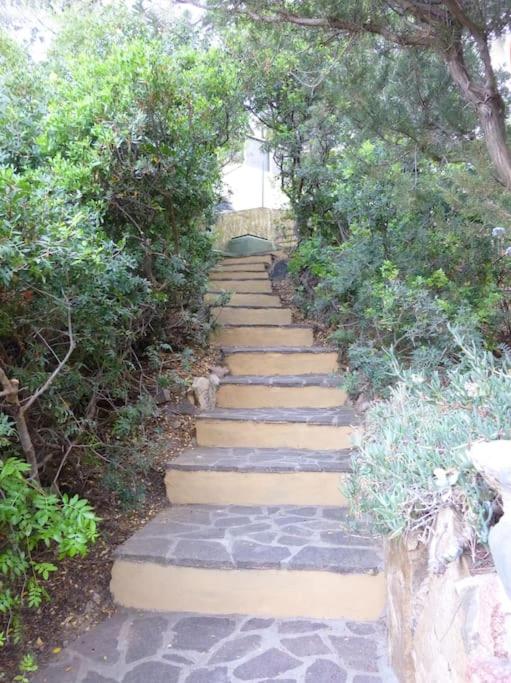 Photo 49