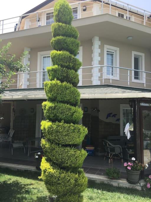 Villa Elegance