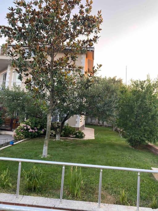 Villa Elegance