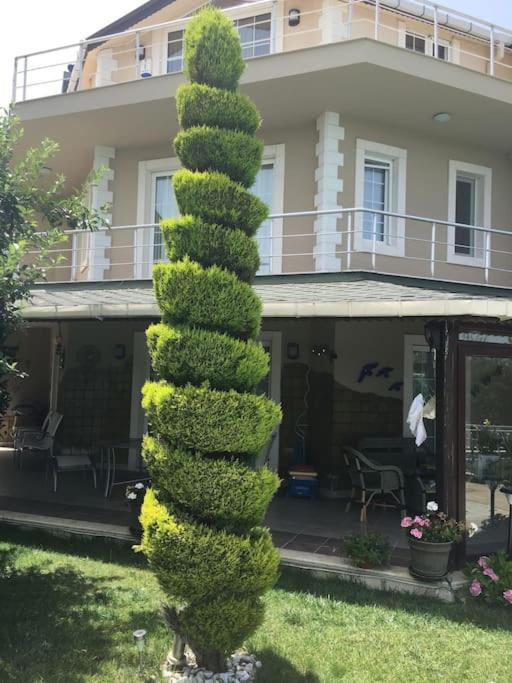 Villa Elegance