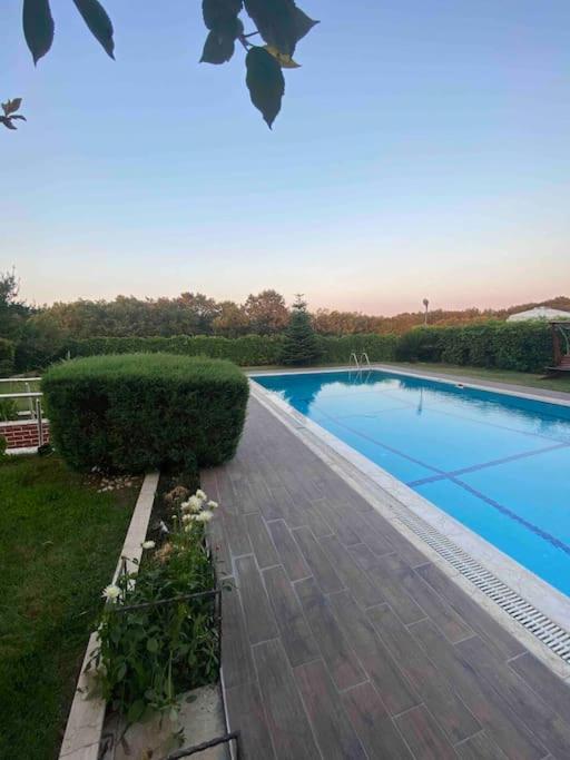 Villa Elegance