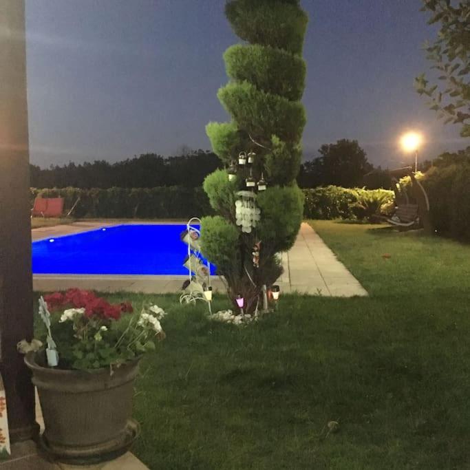 Villa Elegance