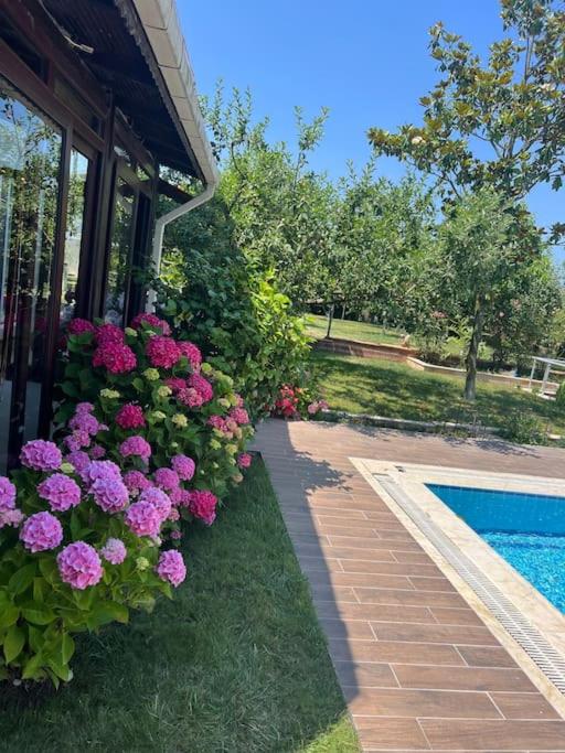 Villa Elegance
