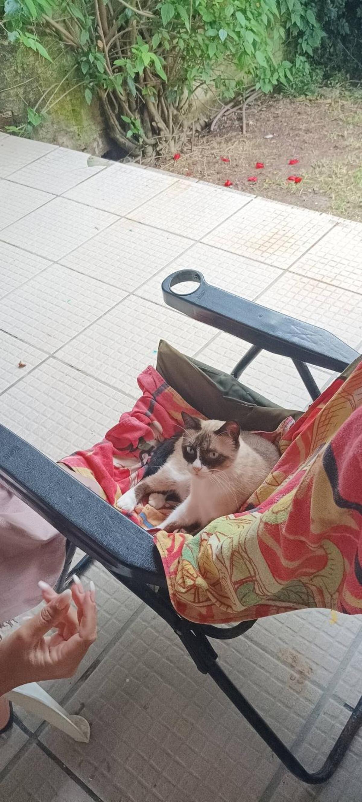 human