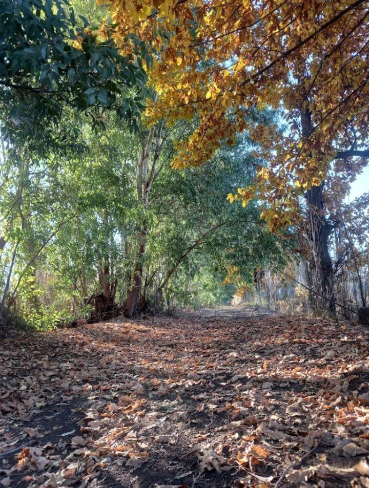 Finca Aleden