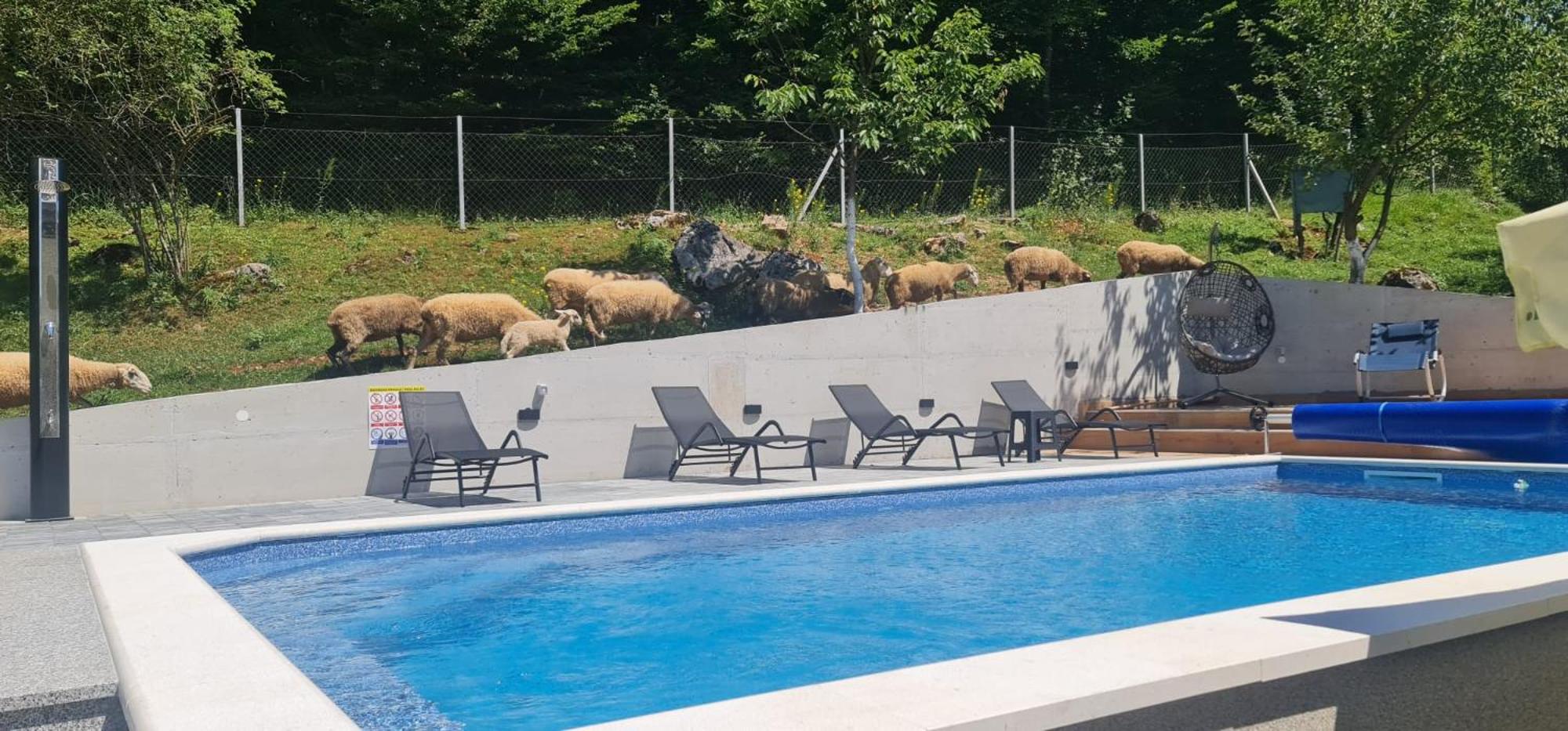 Holiday House Marija view 3