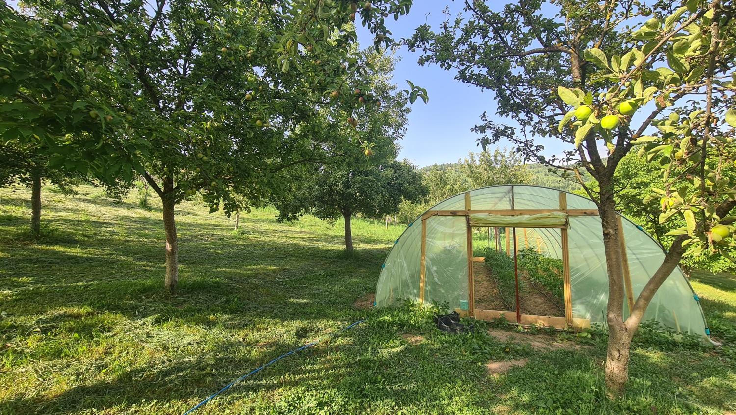 Seosko domaćinstvo Preslo view 3