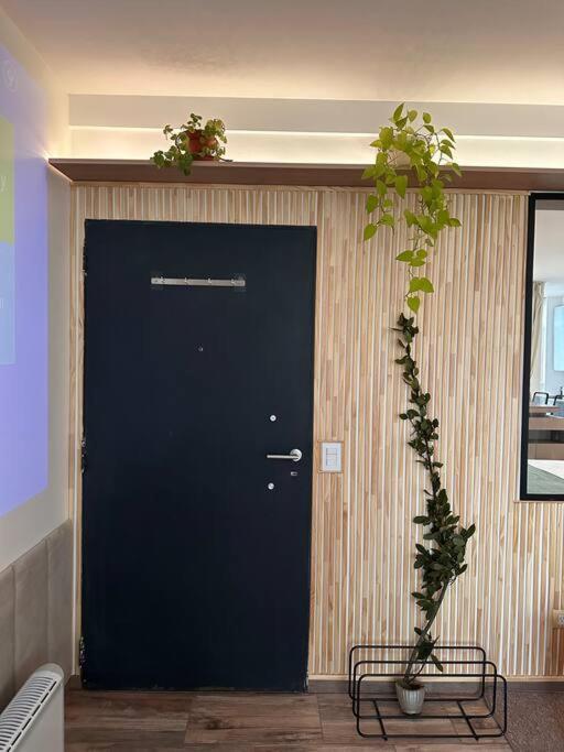 21#Modern Studio department & relaxing Green view!