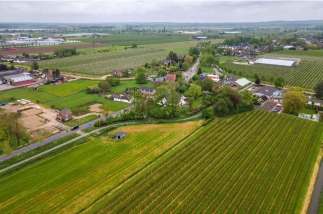 B&B de Perenboom view 2
