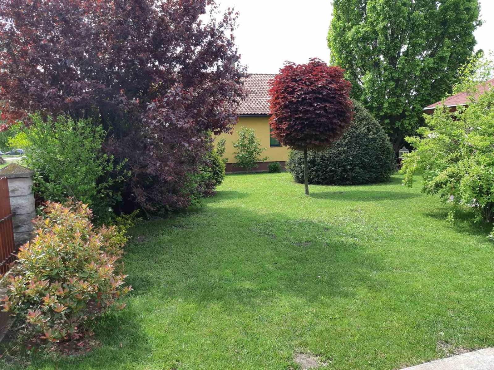 Photo 36
