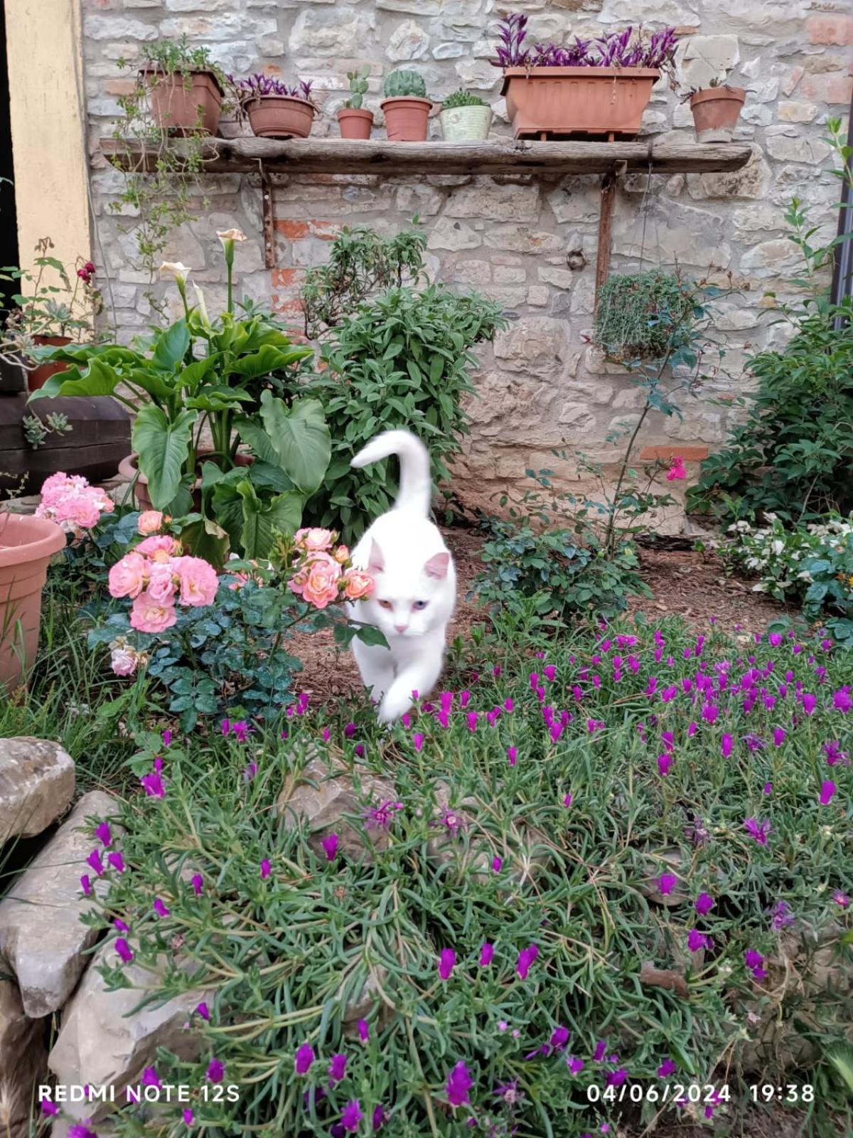 Photo 29