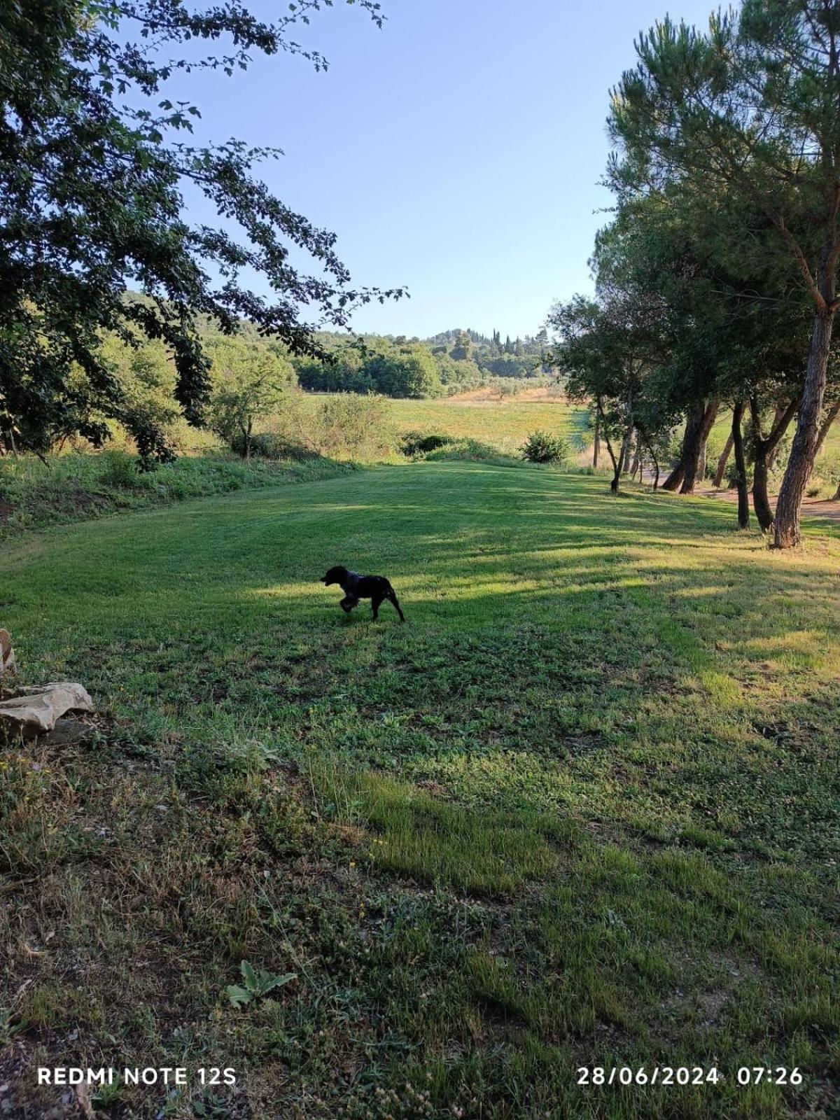 Photo 31