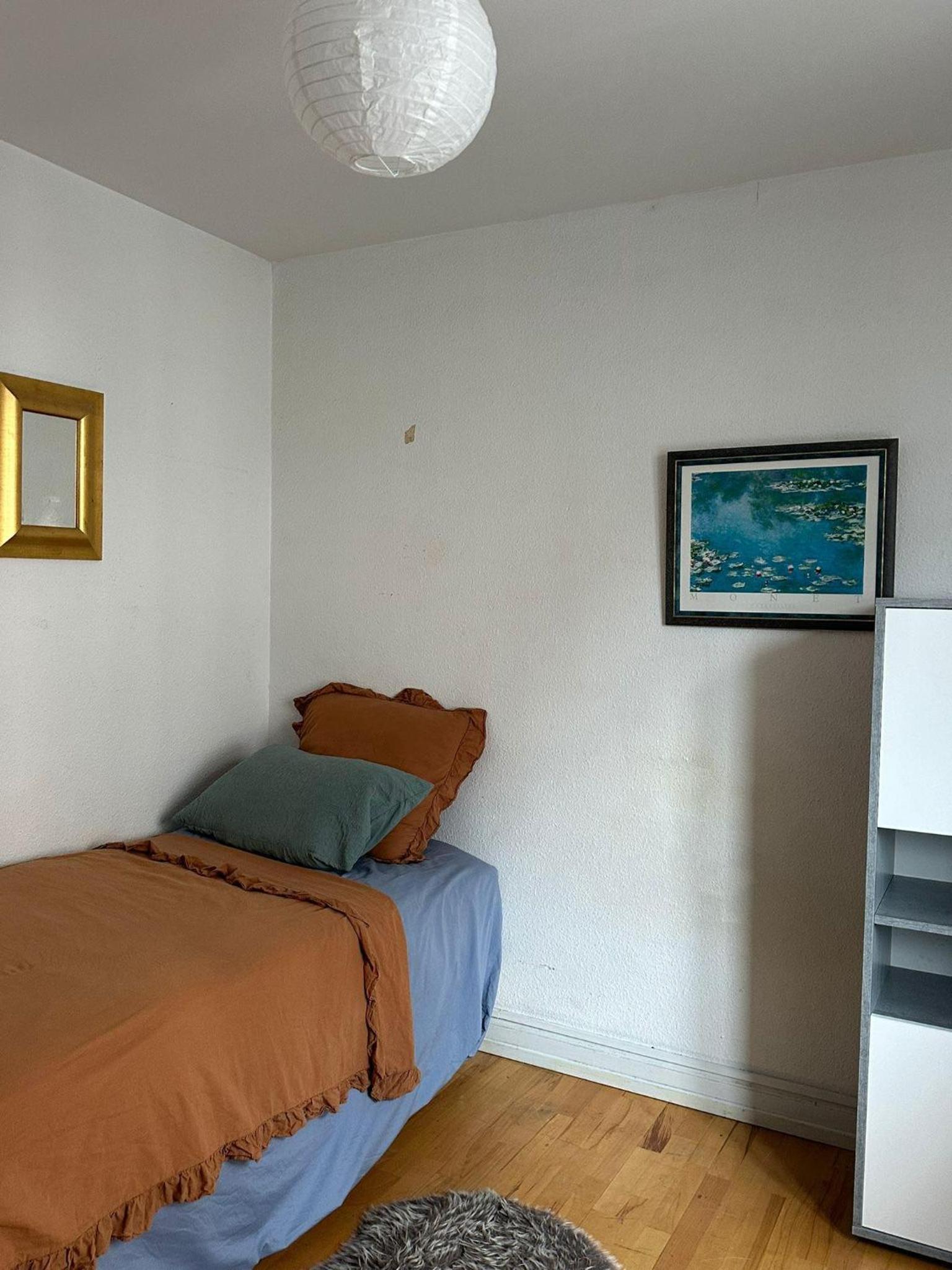 Christianshavns lakes room