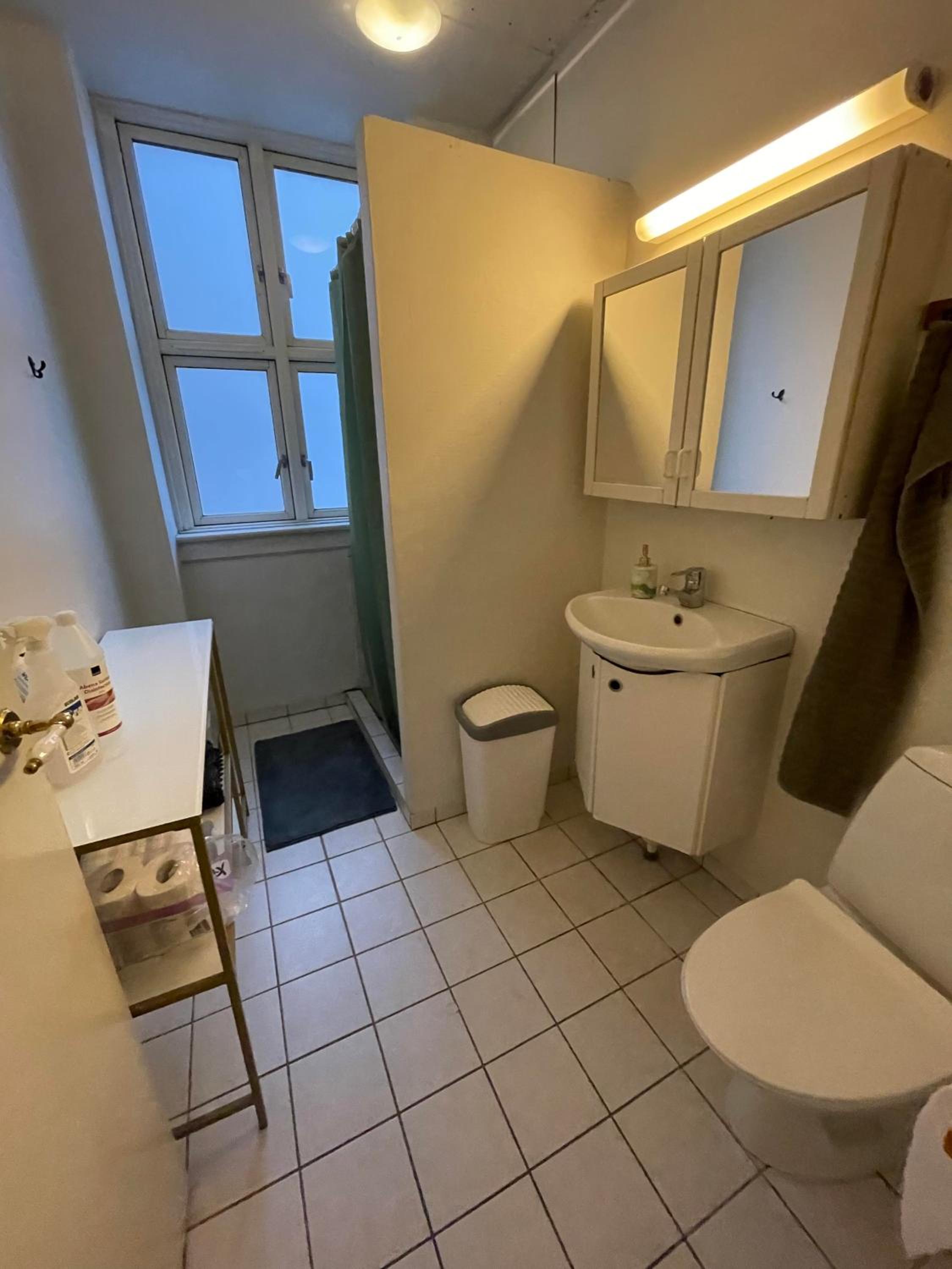 Christianshavns lakes room