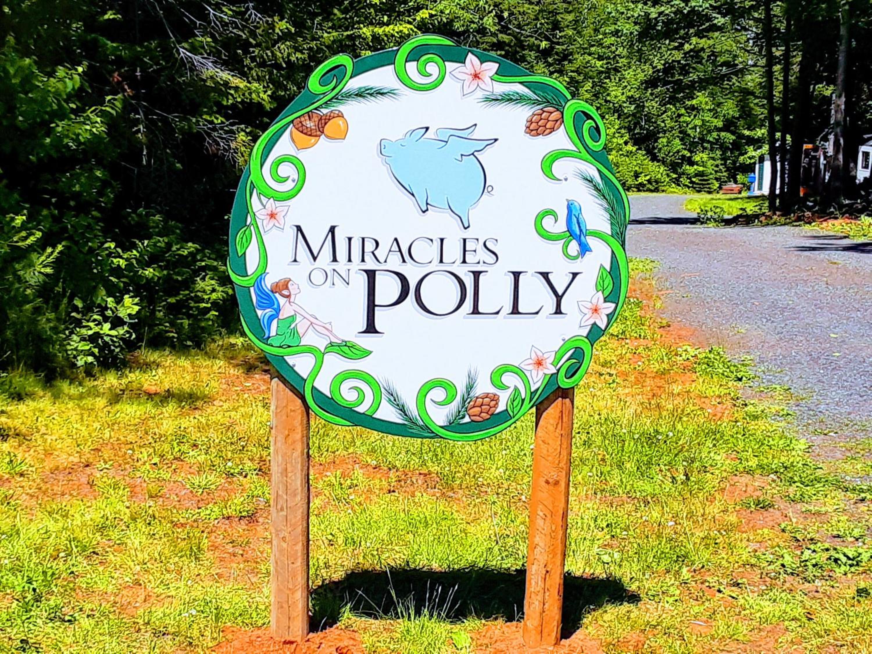 Miracles on Polly
