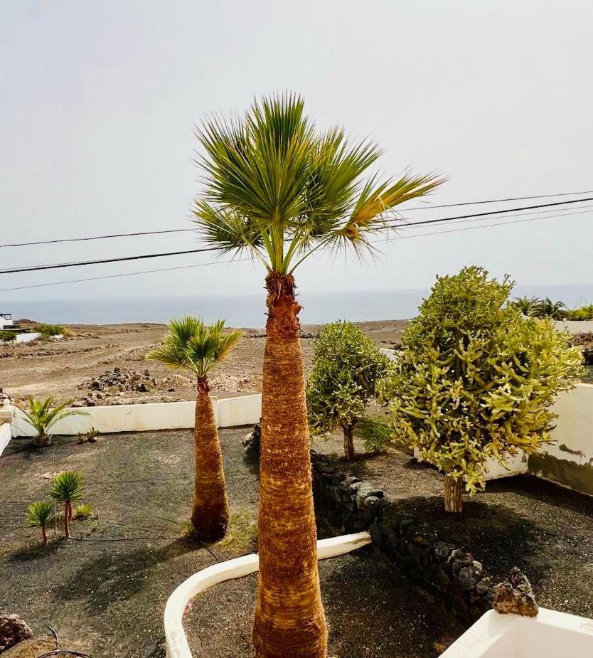 Finca PiedraNegra