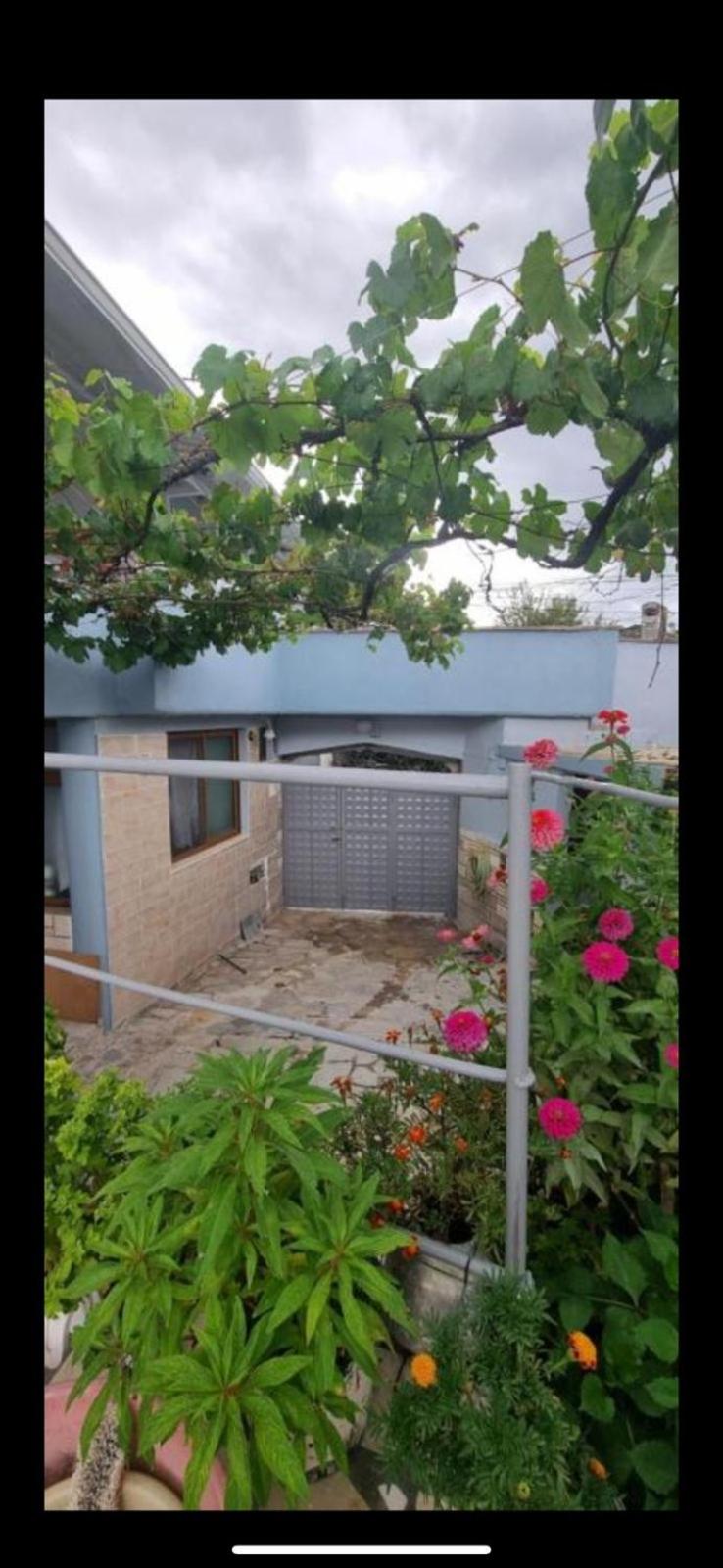 Loykas guesthouse