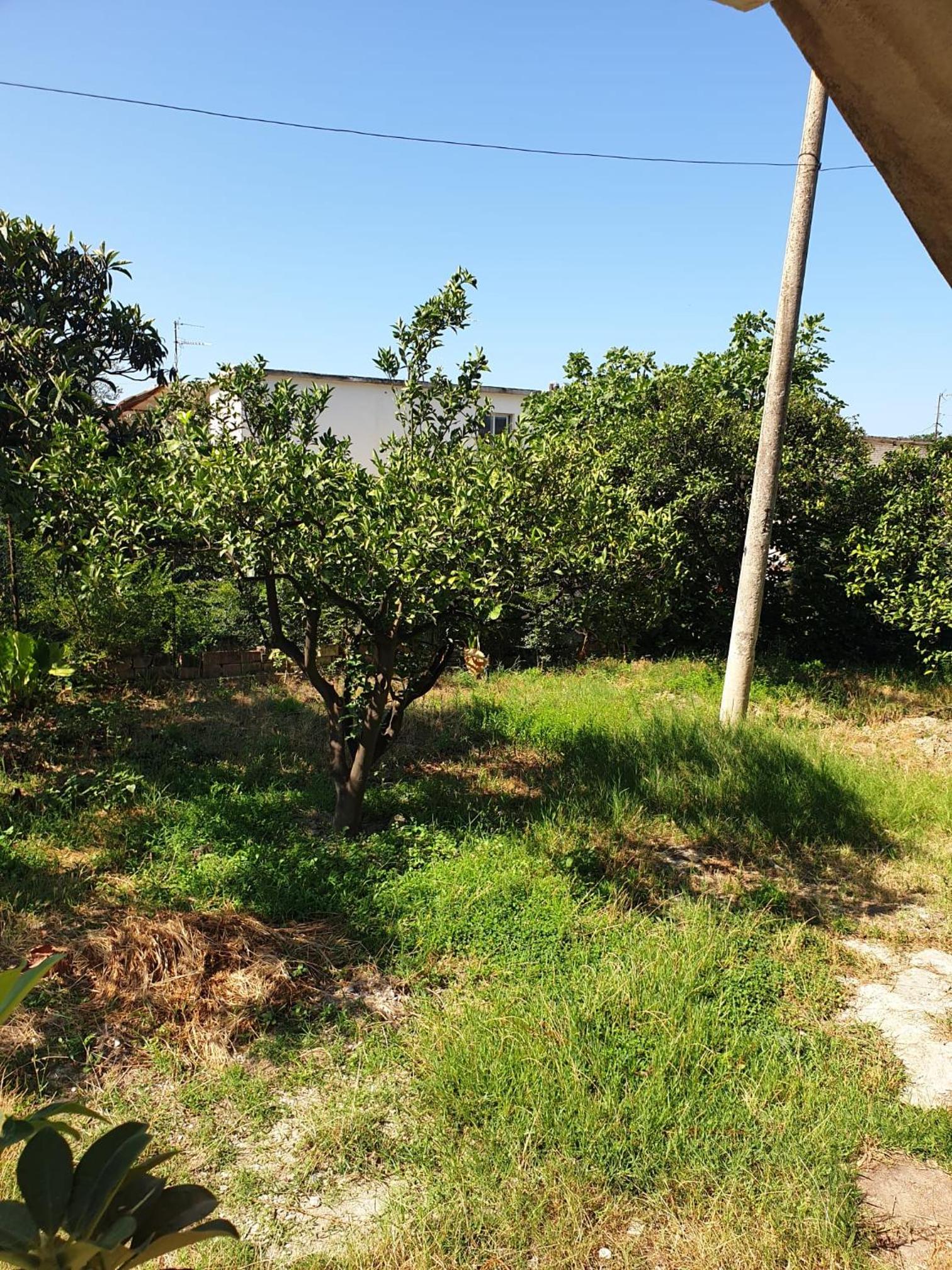 Centre Vlore Guest House