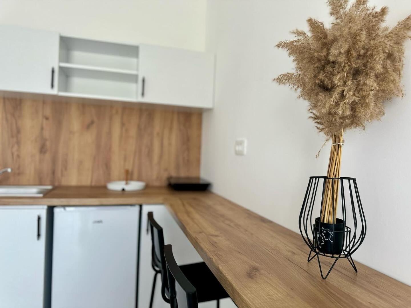 Apartmani Asovic