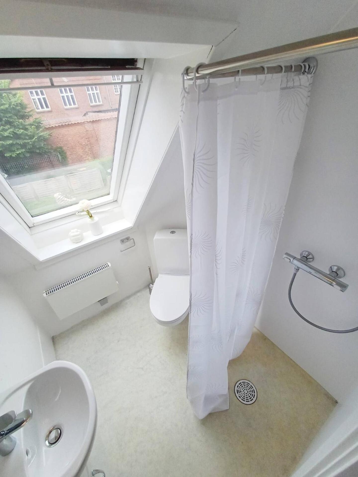 Cozy 1 bedroom apartment B