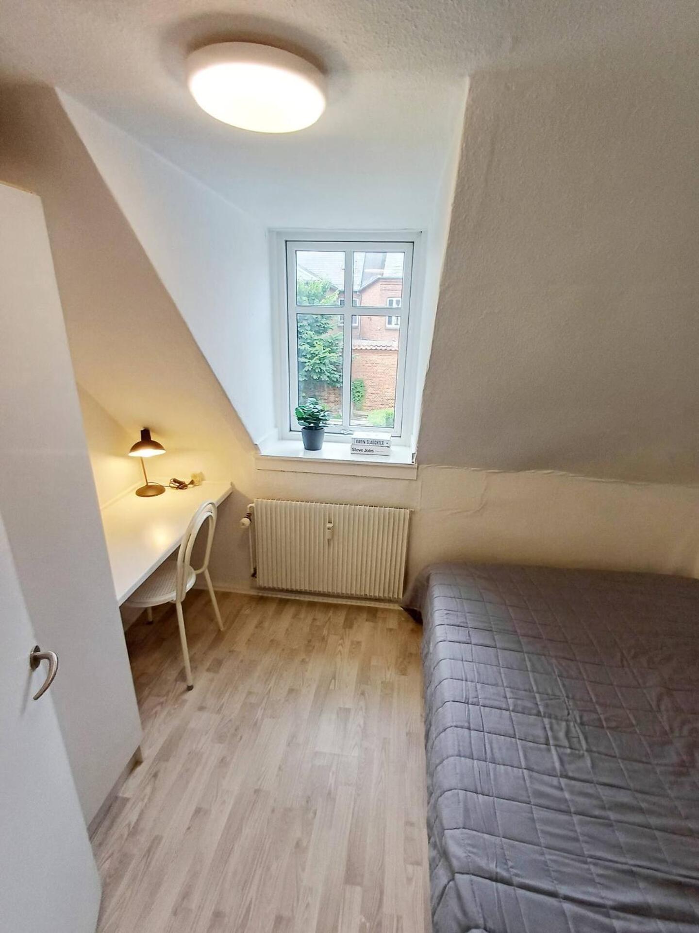 Cozy 1 bedroom apartment B