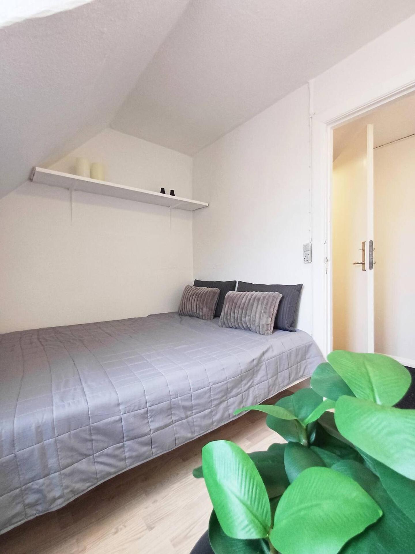 Cozy 1 bedroom apartment B