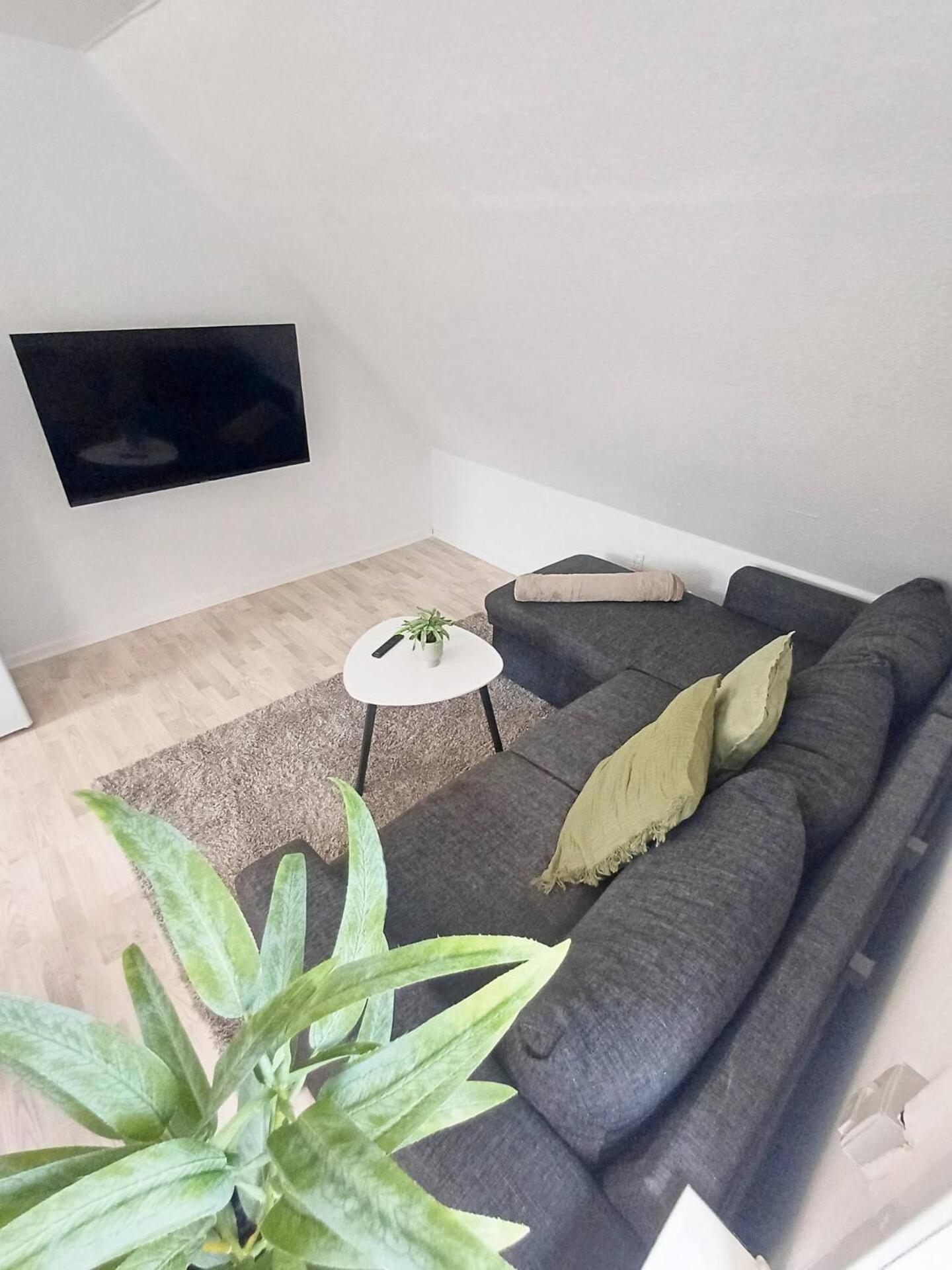 Cozy 1 bedroom apartment B
