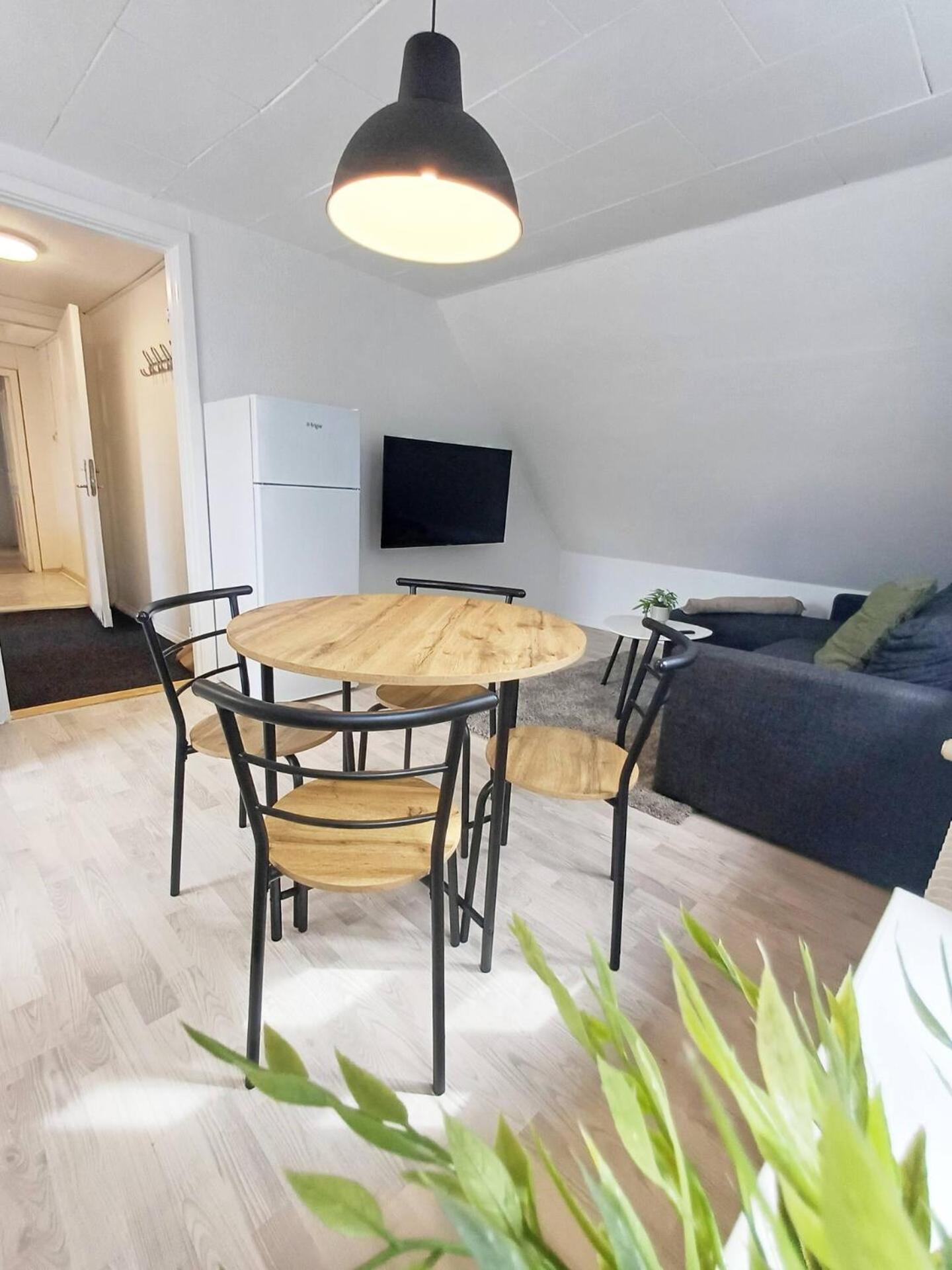 Cozy 1 bedroom apartment B