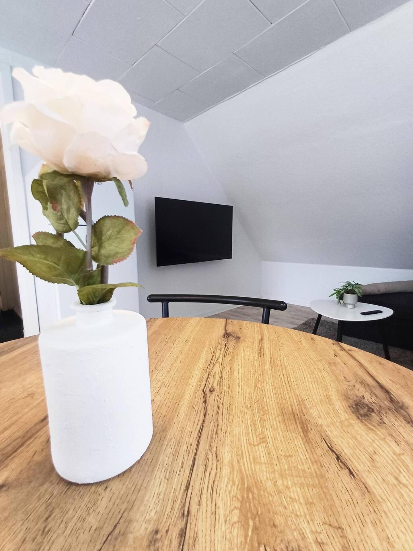 Cozy 1 bedroom apartment B