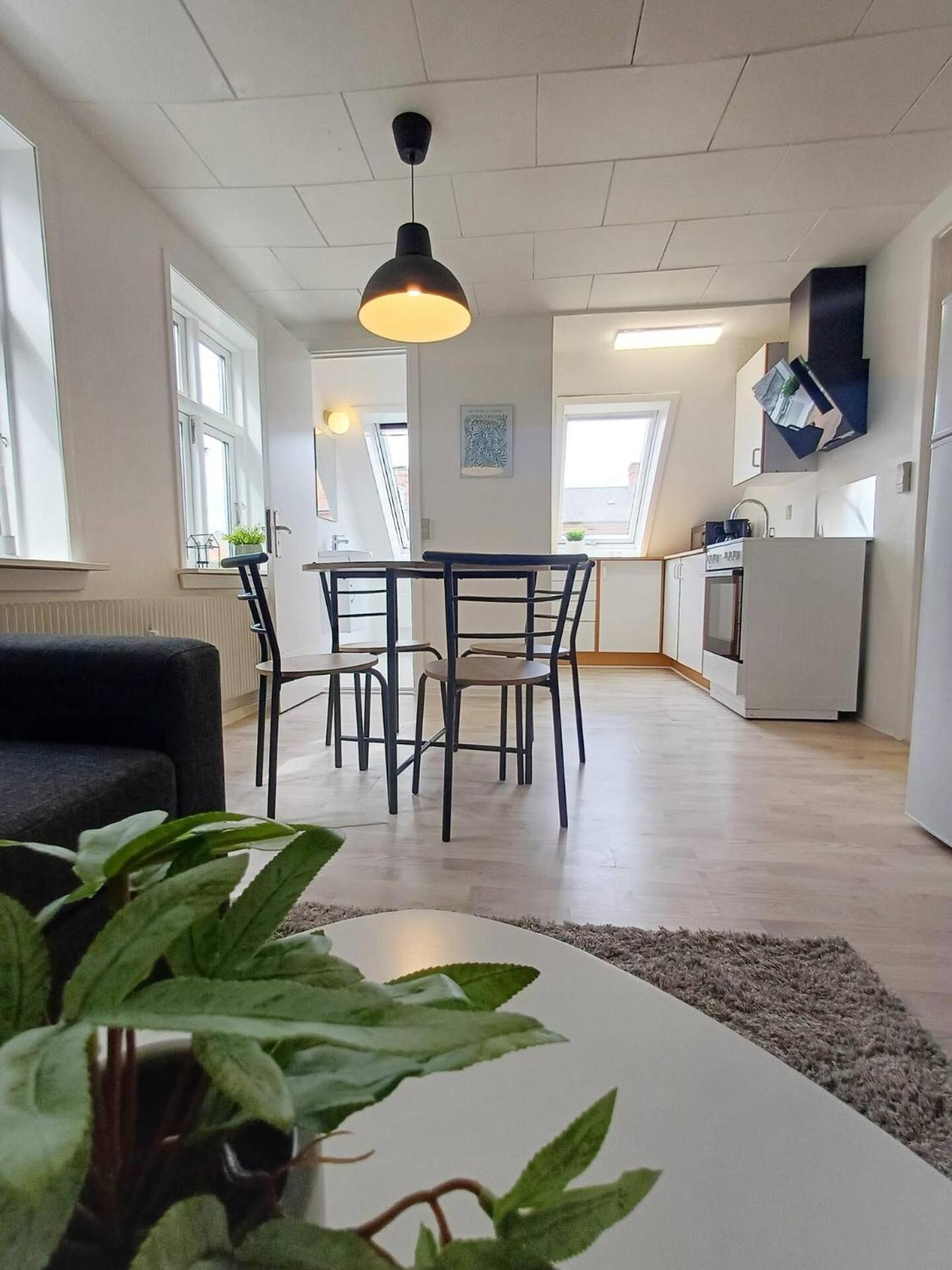 Cozy 1 bedroom apartment B