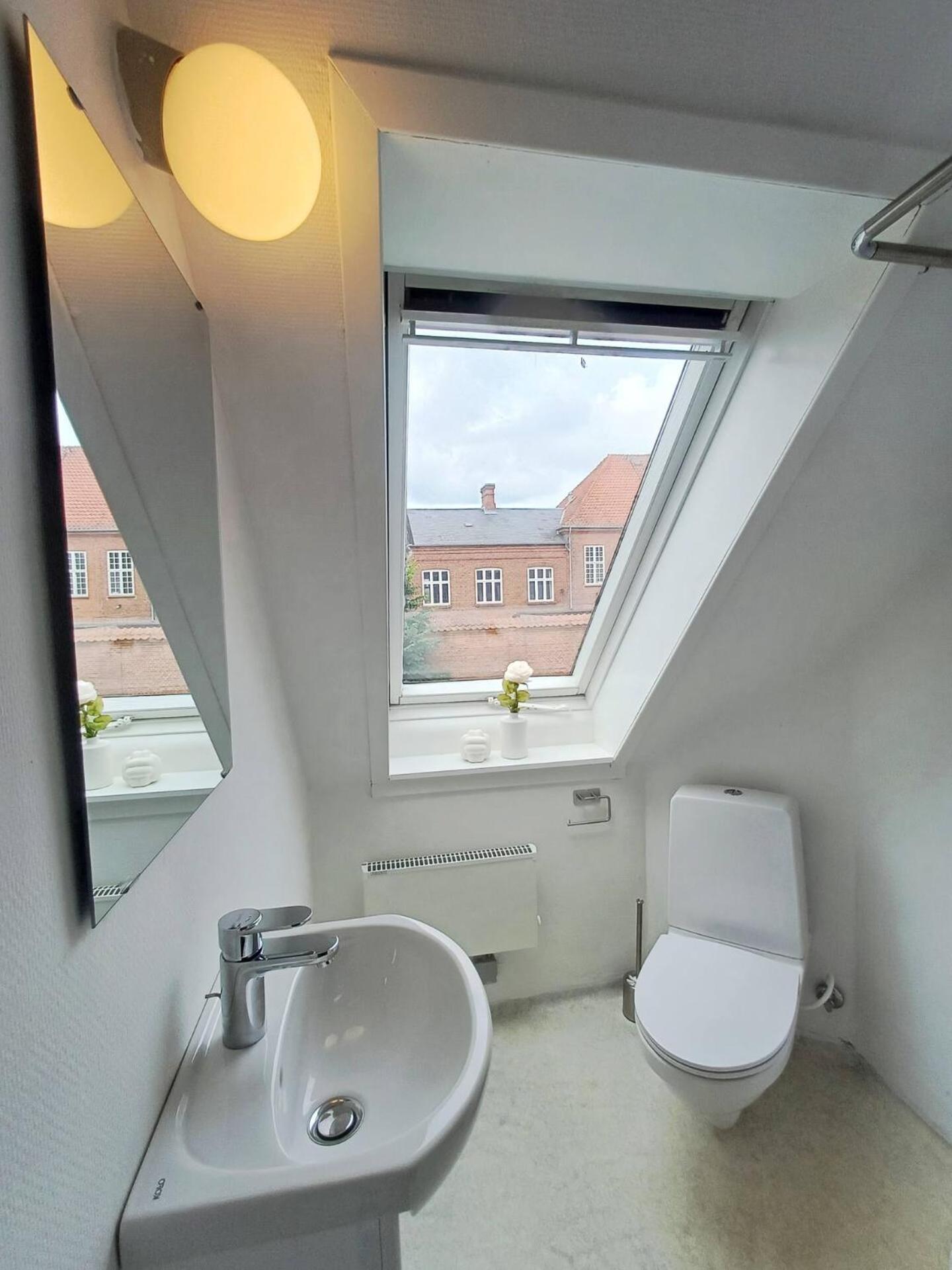 Cozy 1 bedroom apartment B