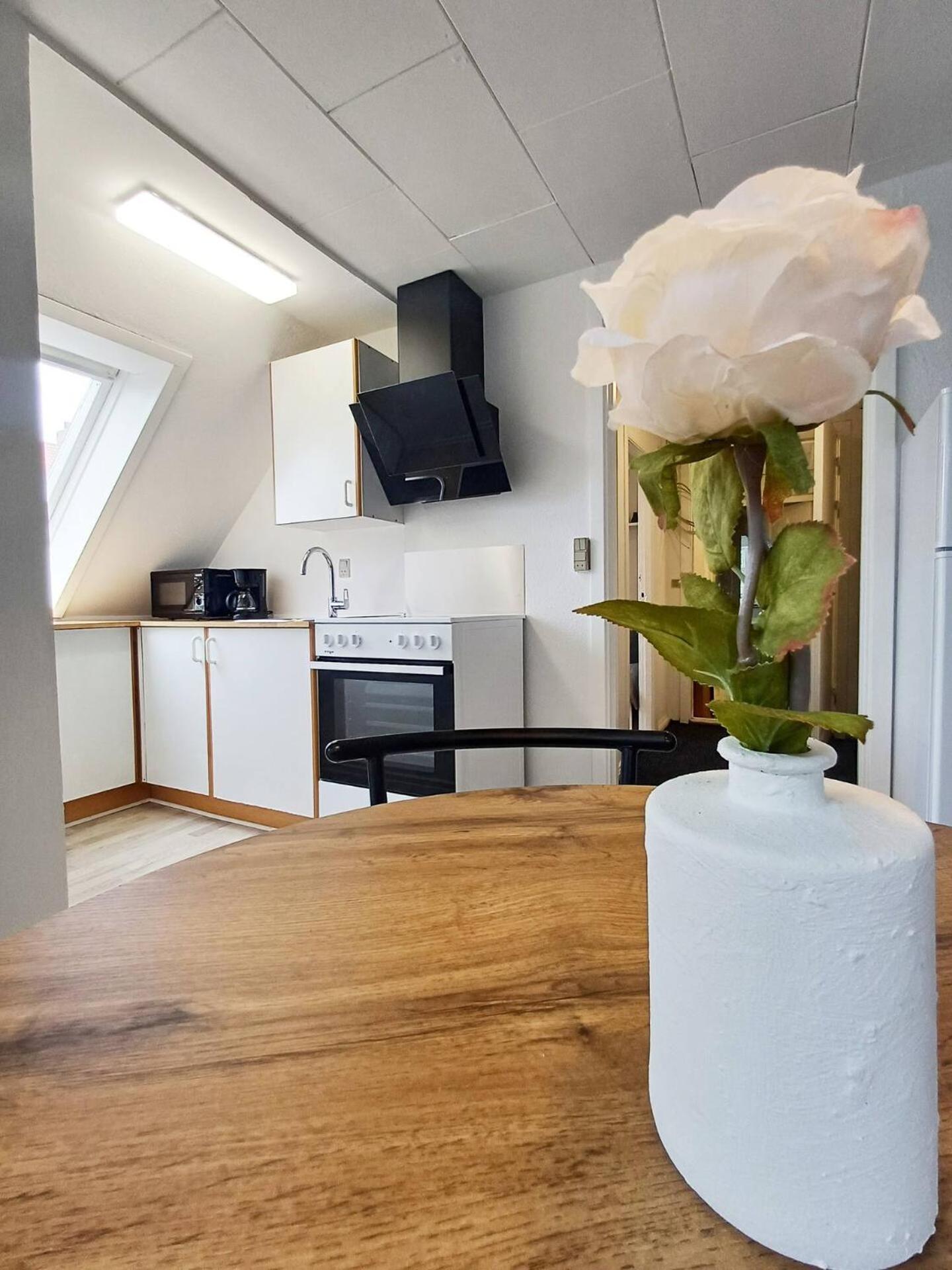 Cozy 1 bedroom apartment B