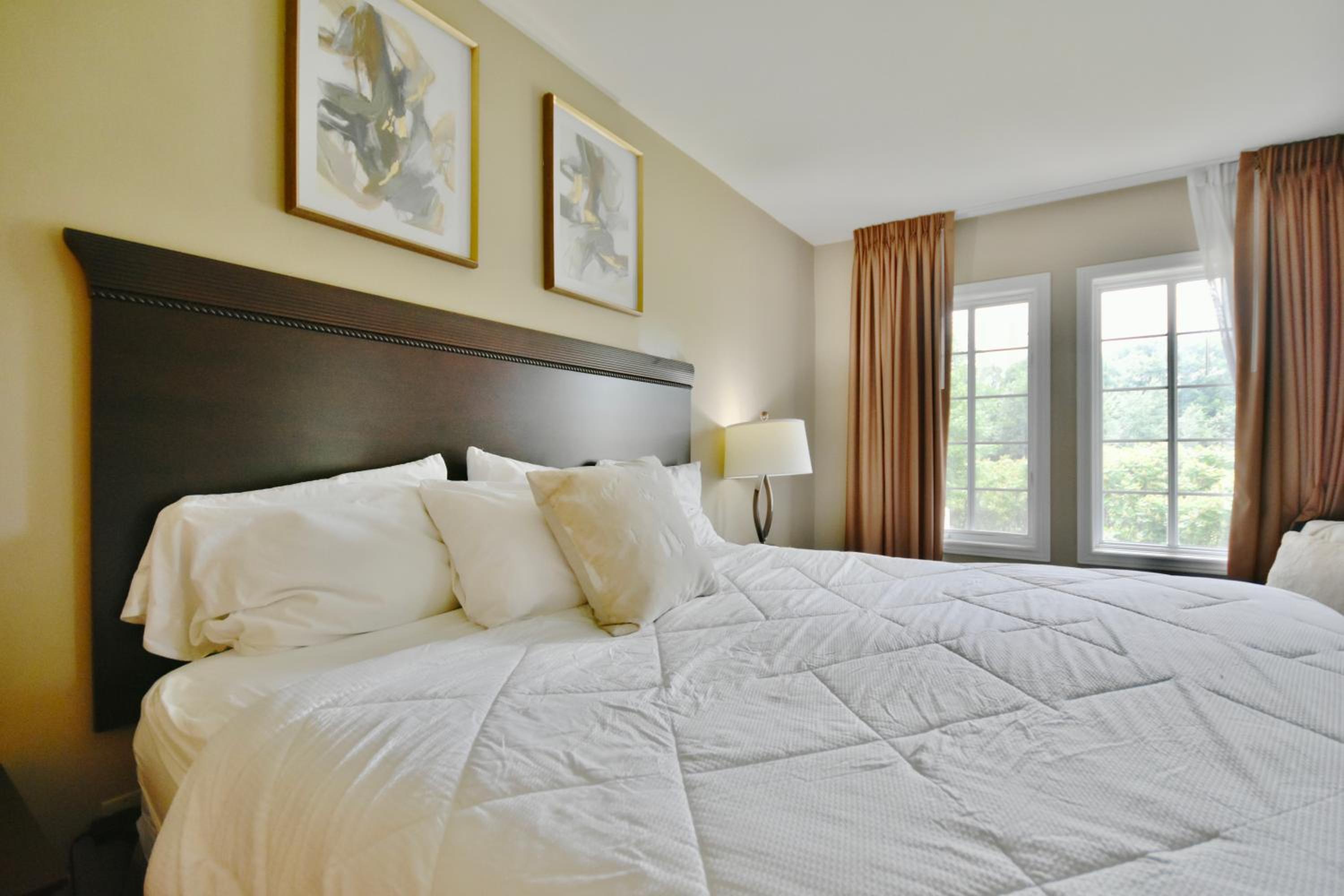Beautiful Jacuzzi Suite with Garden View-Studio