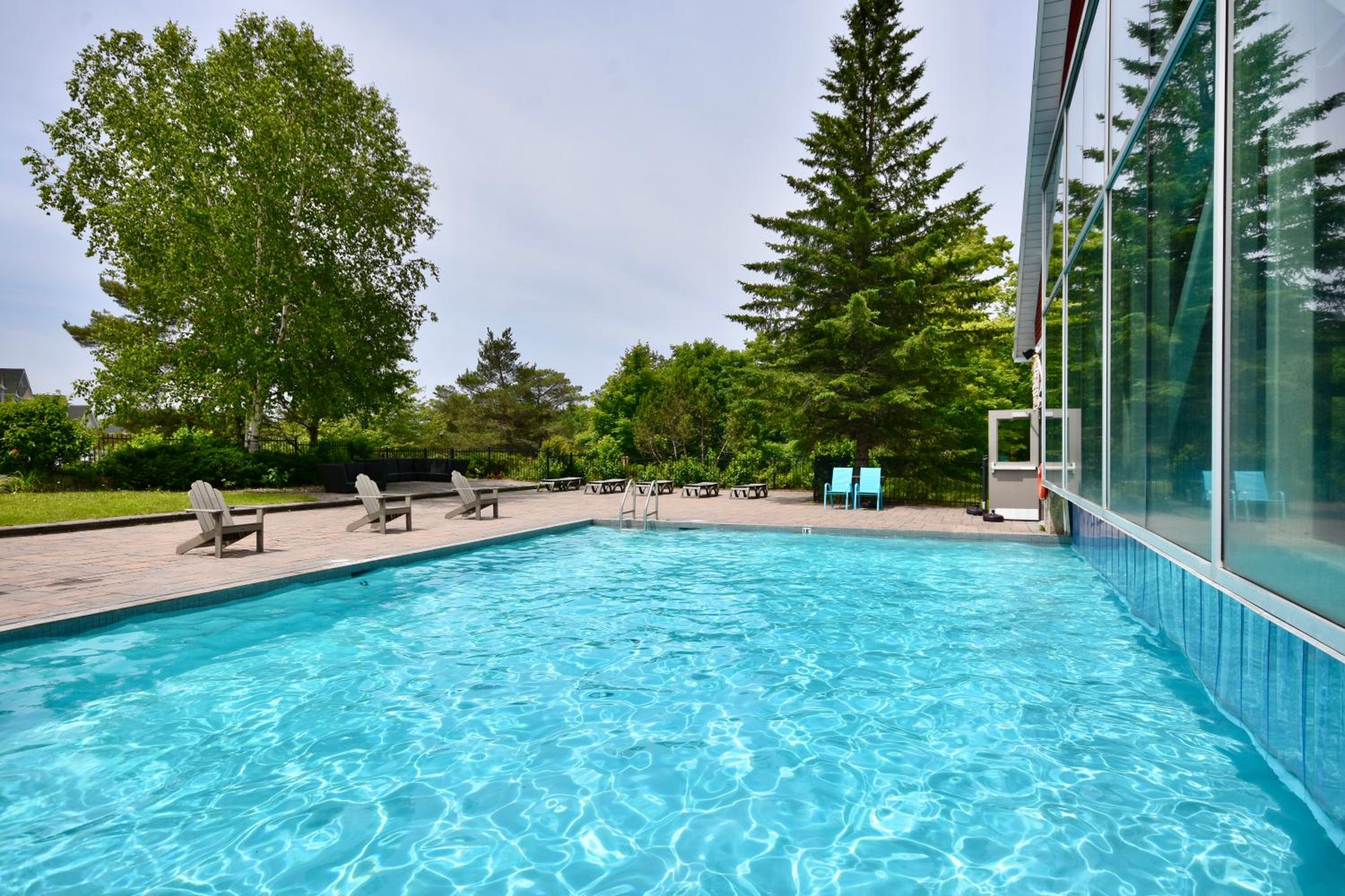 Beautiful Jacuzzi Suite with Garden View-Studio