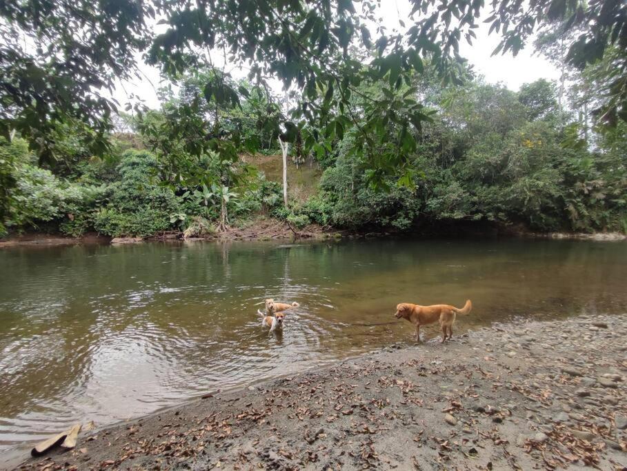 Casa de Campo Riverside