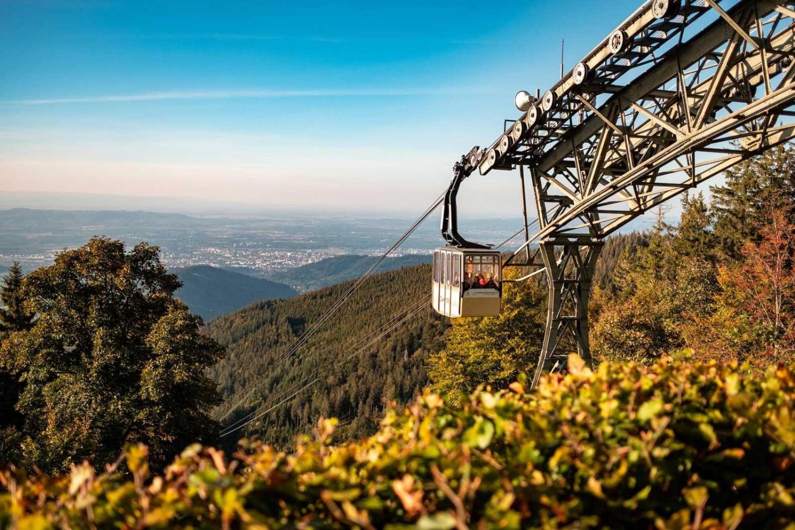 Schwarzwaldhaus Todtnau
