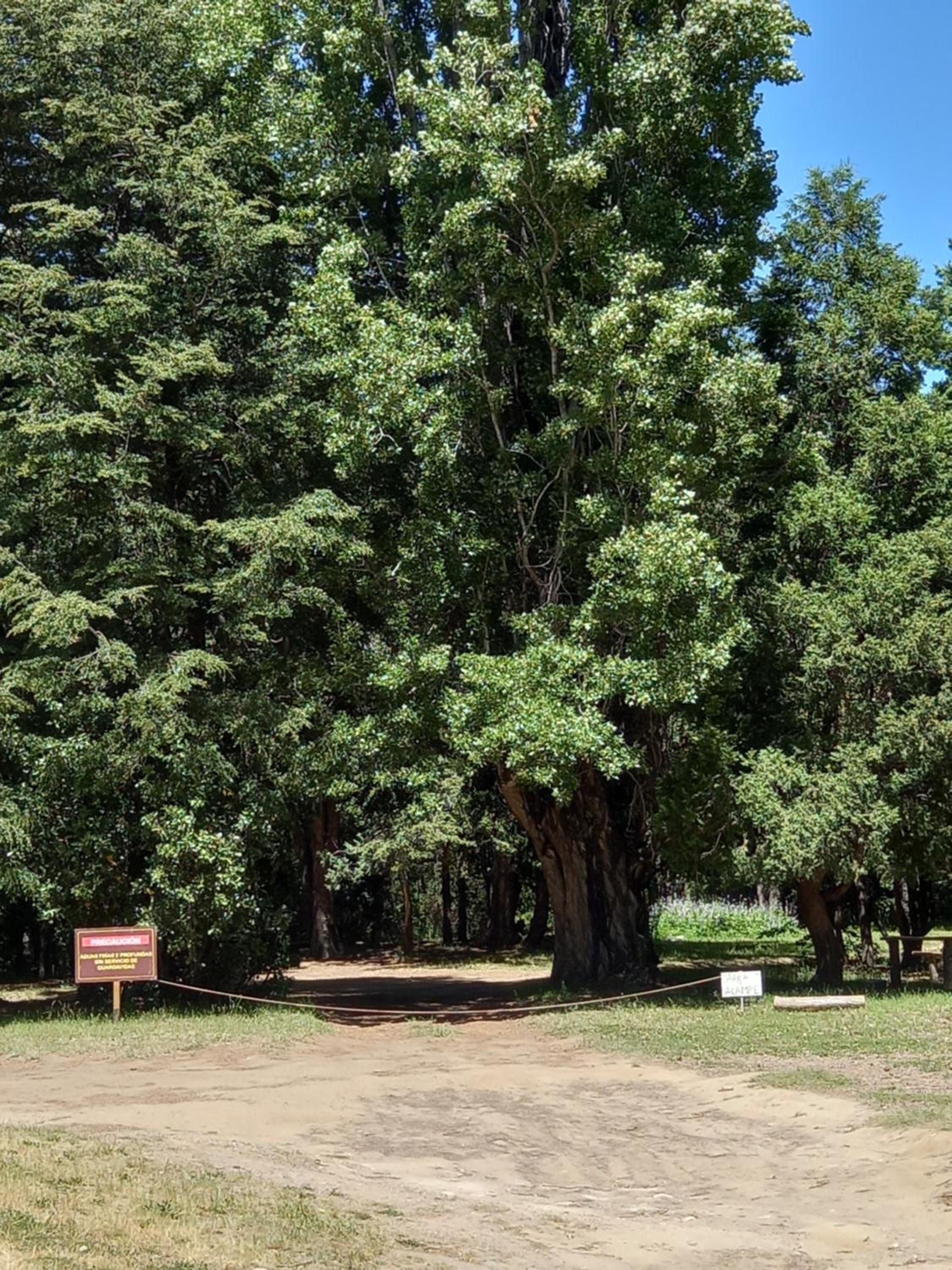 Patagonia glamping rio grande