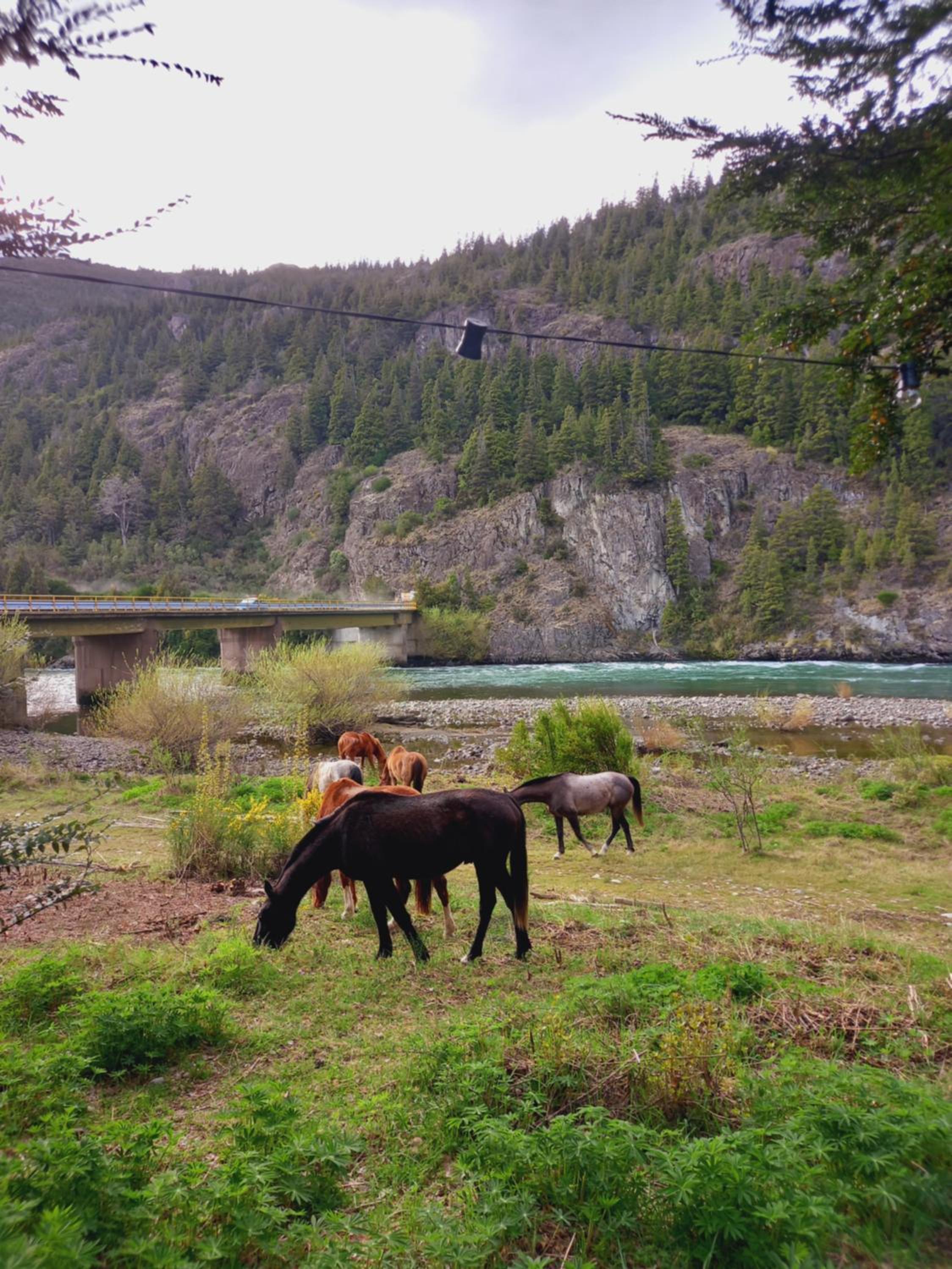 Patagonia glamping rio grande