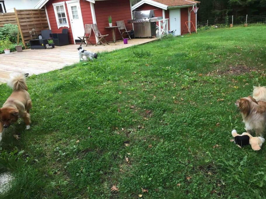 Photo 57