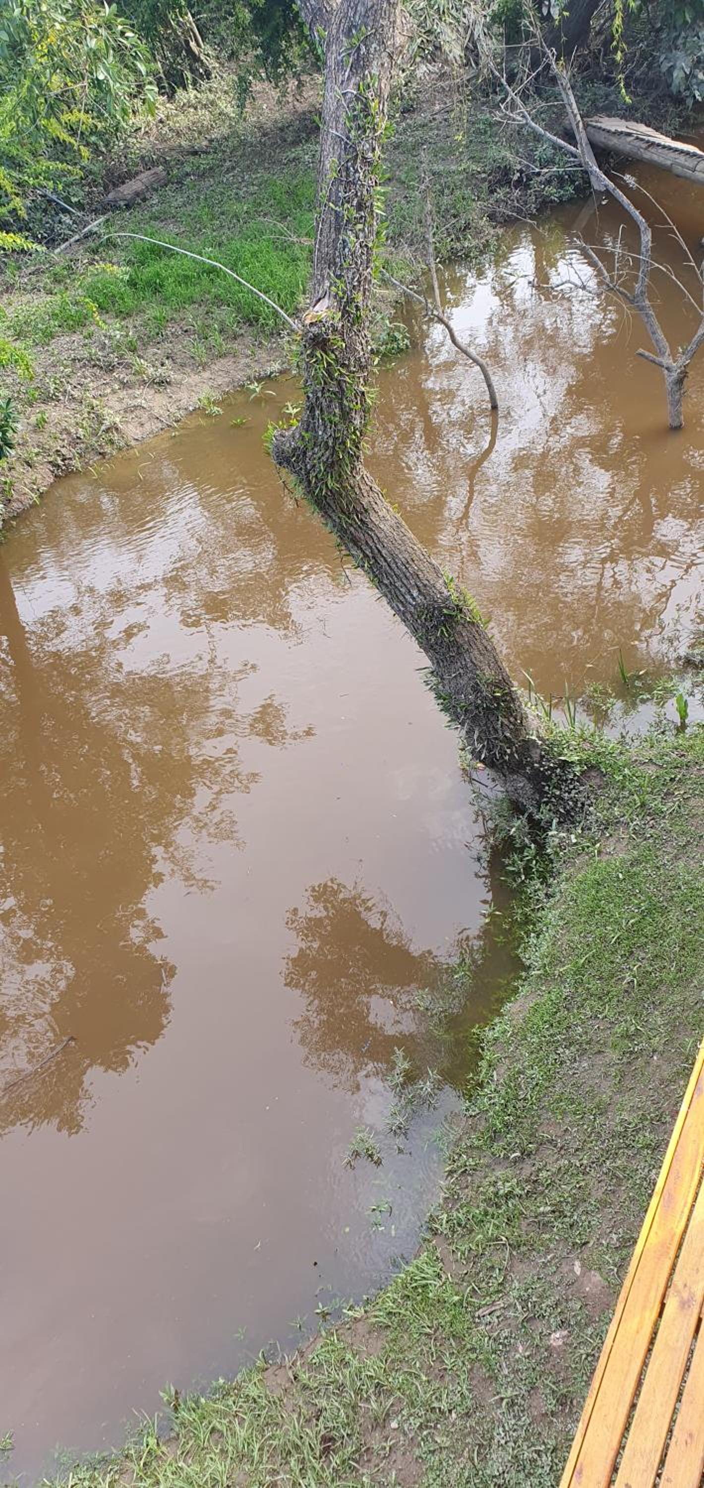 AMANU Casa Unica en el delta de Tigre a solo 5' para 30 personas