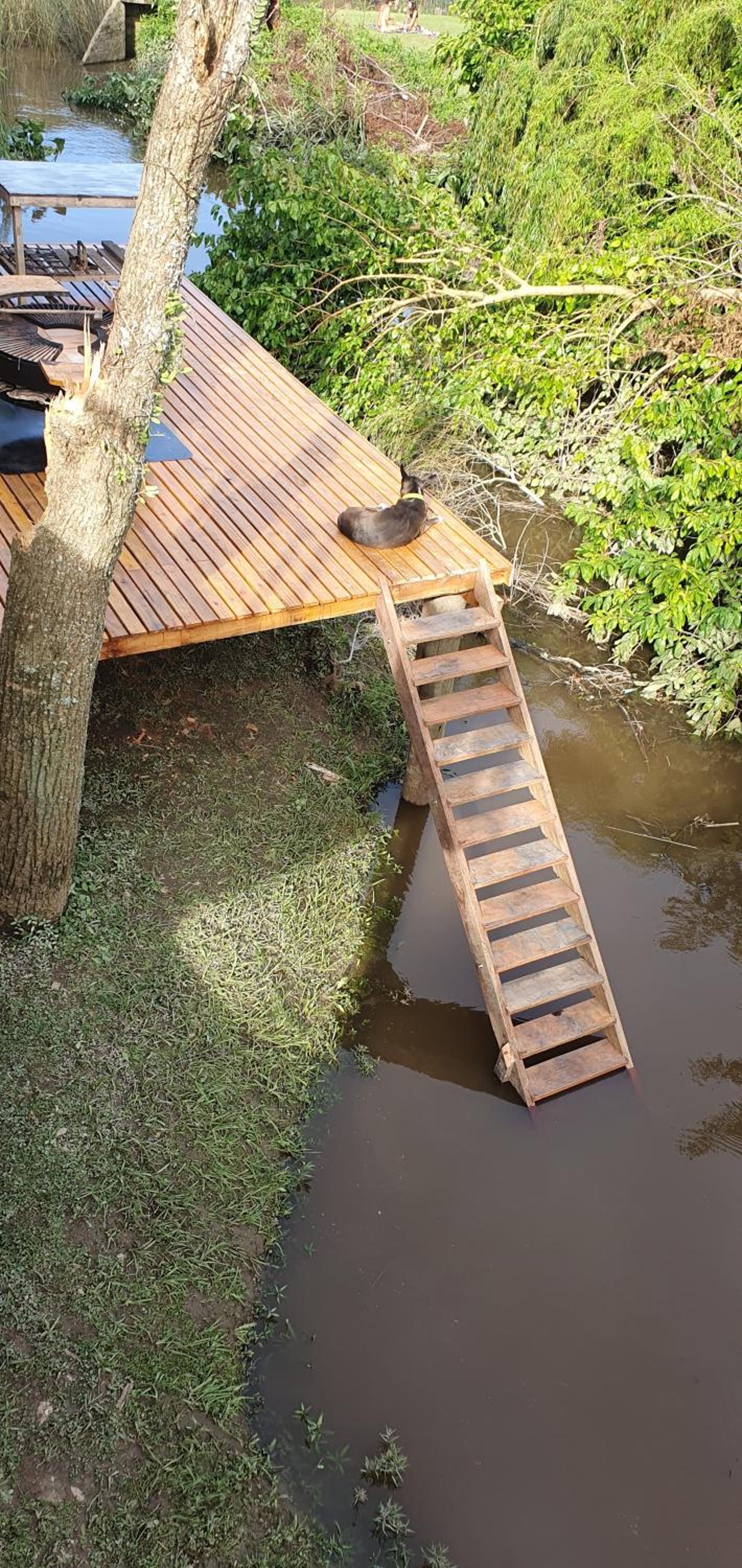 AMANU Casa Unica en el delta de Tigre a solo 5' para 30 personas