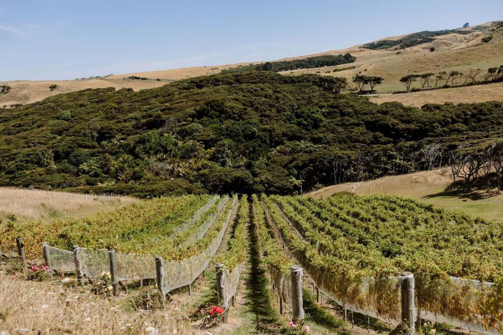 Foudre Suite with Hot Tub at Barrelled Wines Raglan
