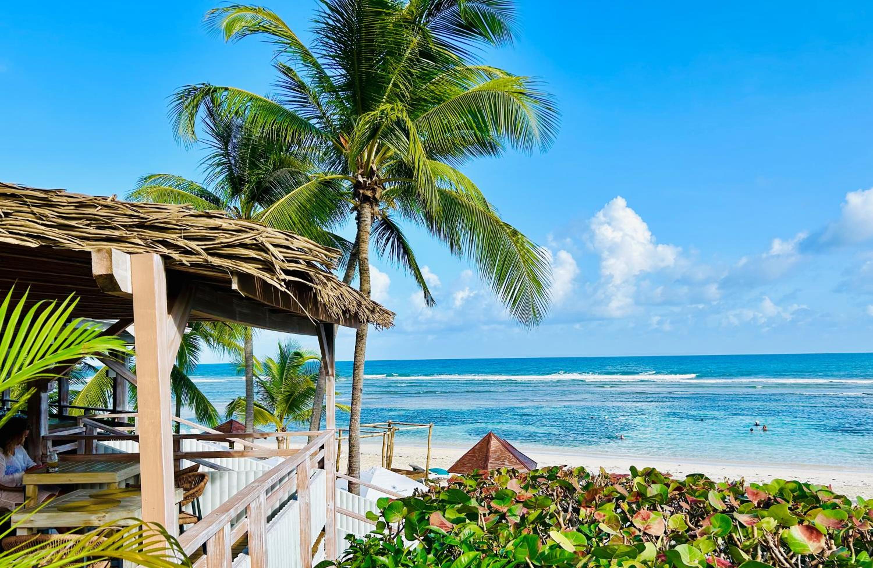 Accès direct Plage et Piscine, Vue Mer et Cocotiers, Les Gwada Studios, Village Vacances Ste Anne view 3