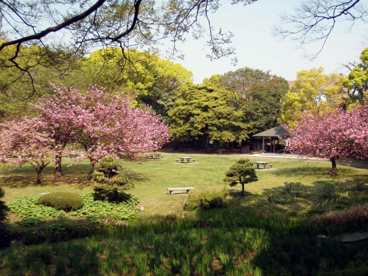 UMIBE Apartment