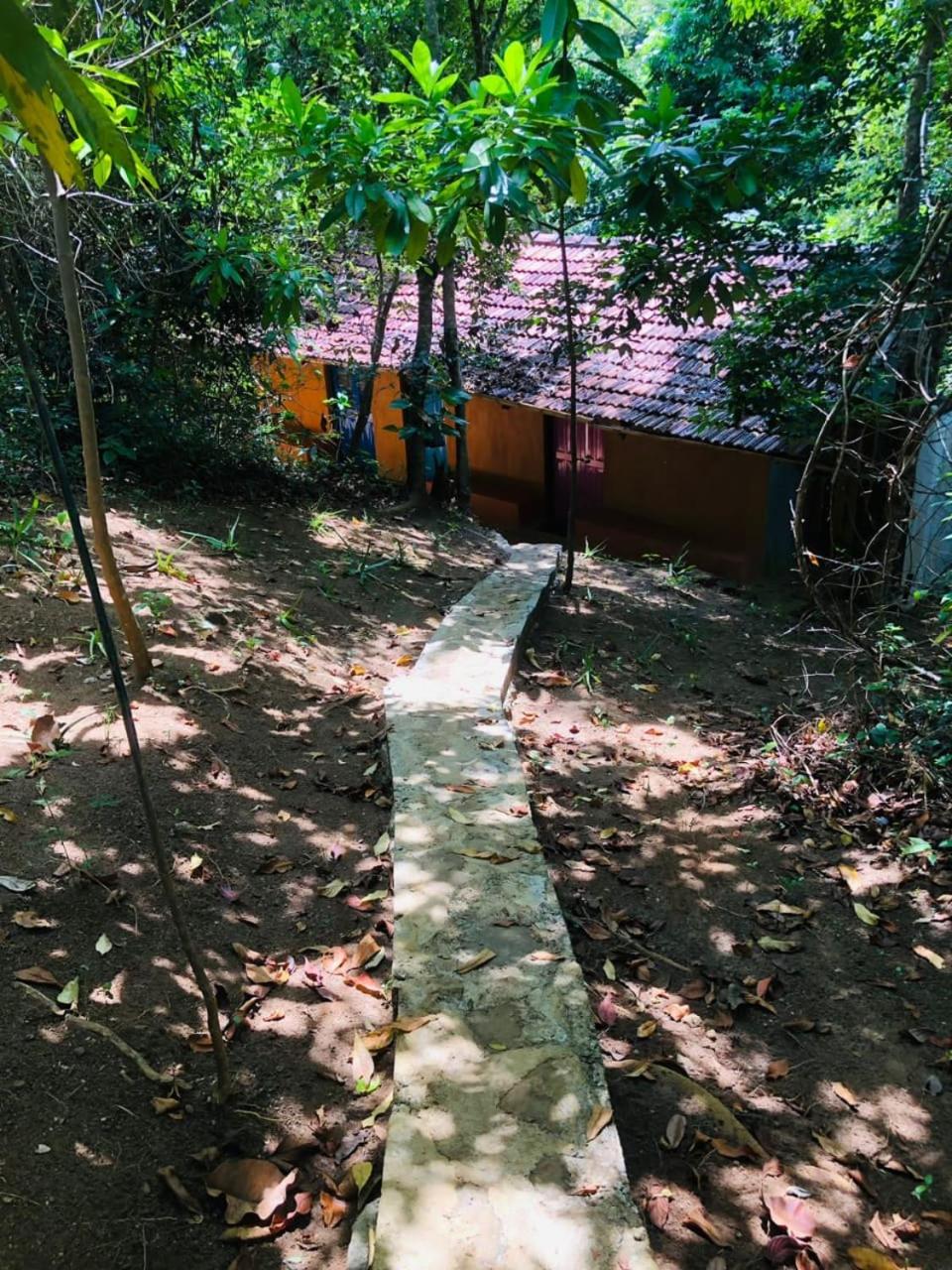 Photo 9