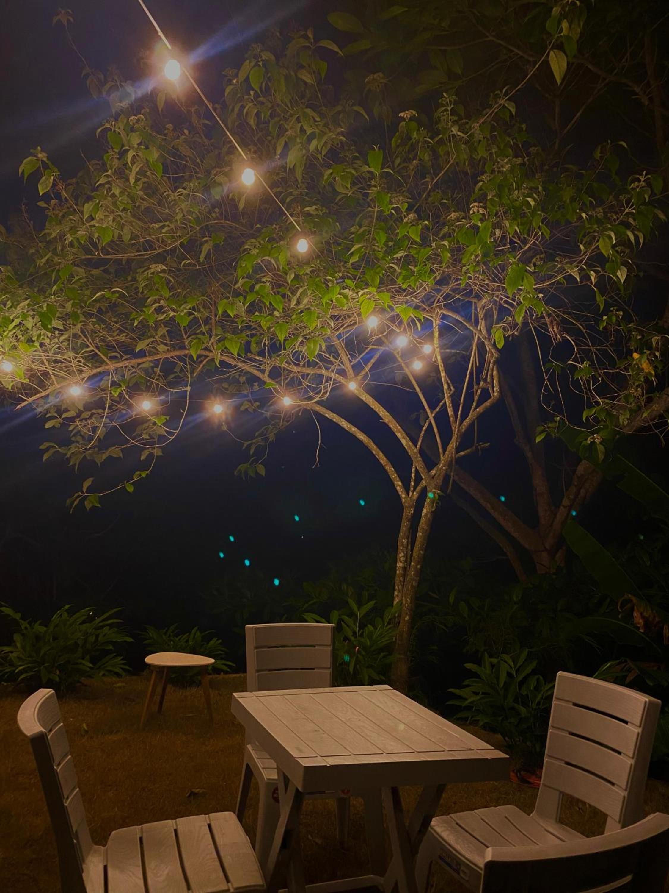 VILLA EVA TAYRONA