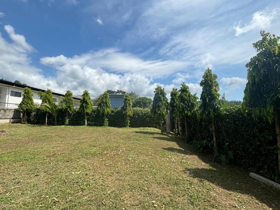 Aparta Studio Jardín Alado