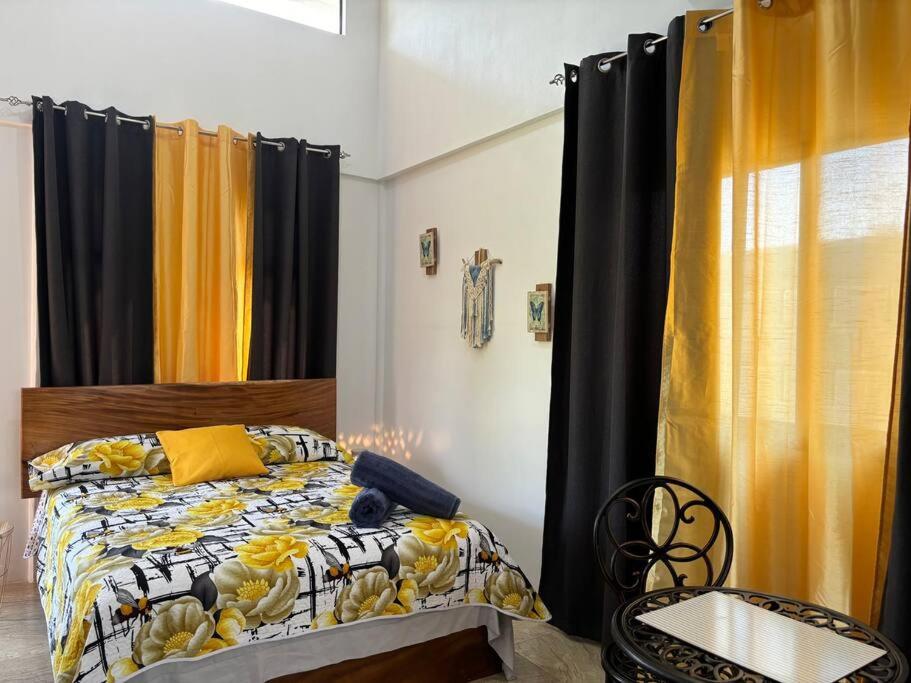 Aparta Studio Jardín Alado